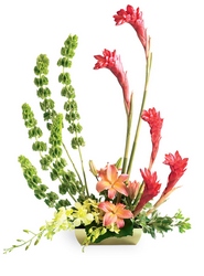 Touch of Tropics Arrangement from Visser's Florist and Greenhouses in Anaheim, CA